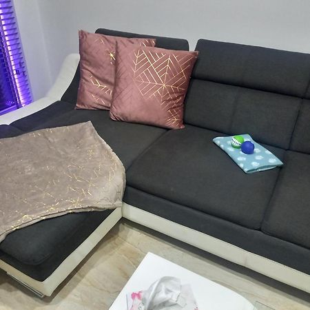 Sukromny Apartman Daire Senec Dış mekan fotoğraf